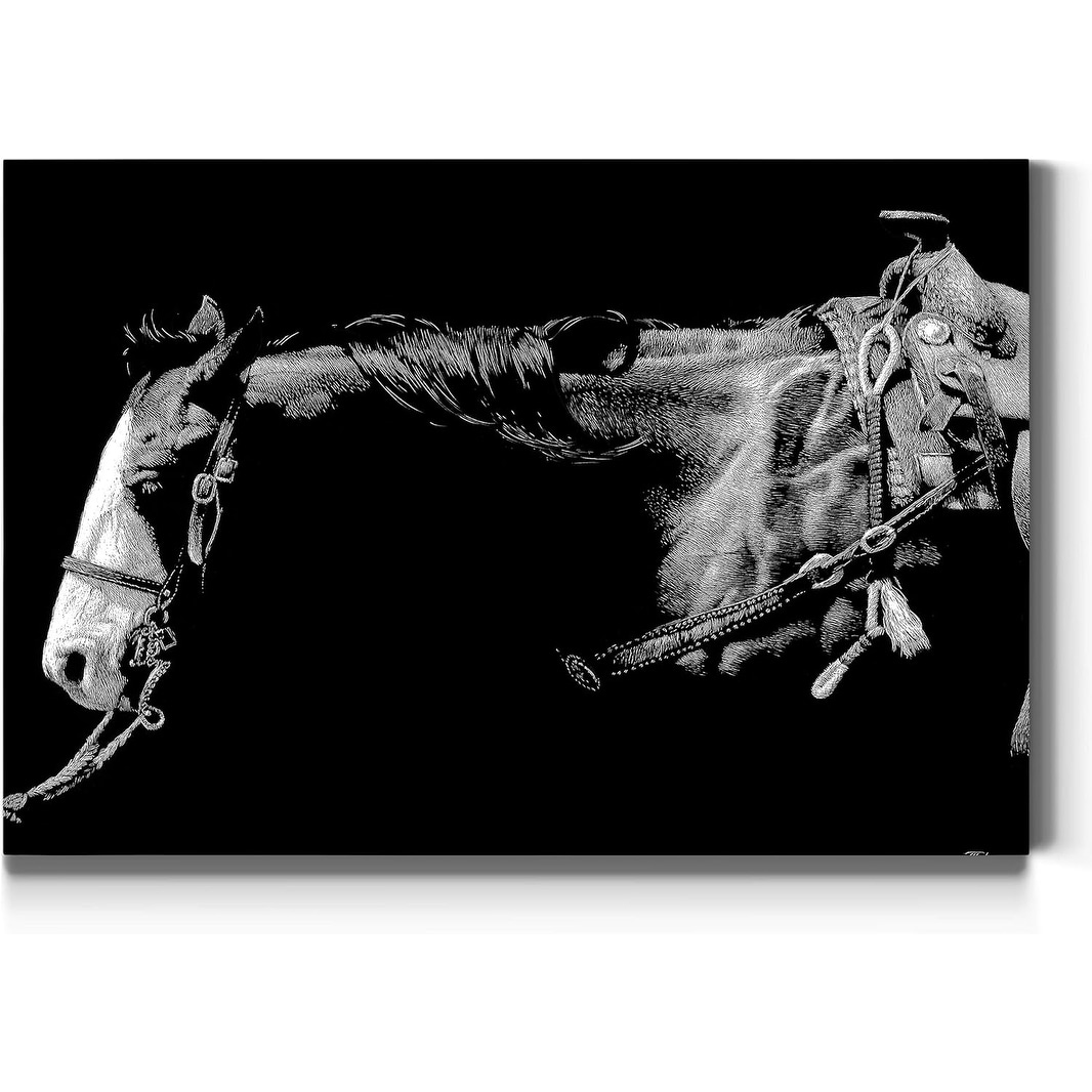 Vintage Baldfaced Horse Modern Black & White Canvas
