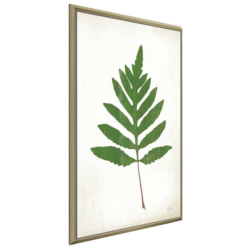 "Chalkboard Fern Green I" Print on Floating Canvas