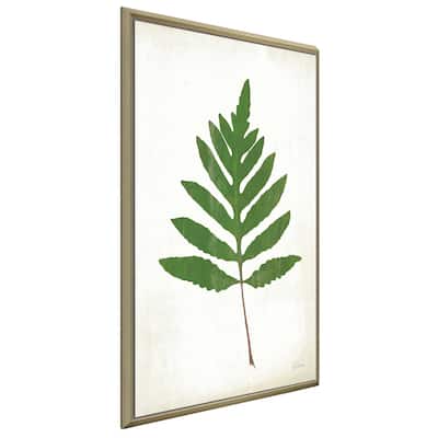 "Chalkboard Fern Green I" Print on Floating Canvas