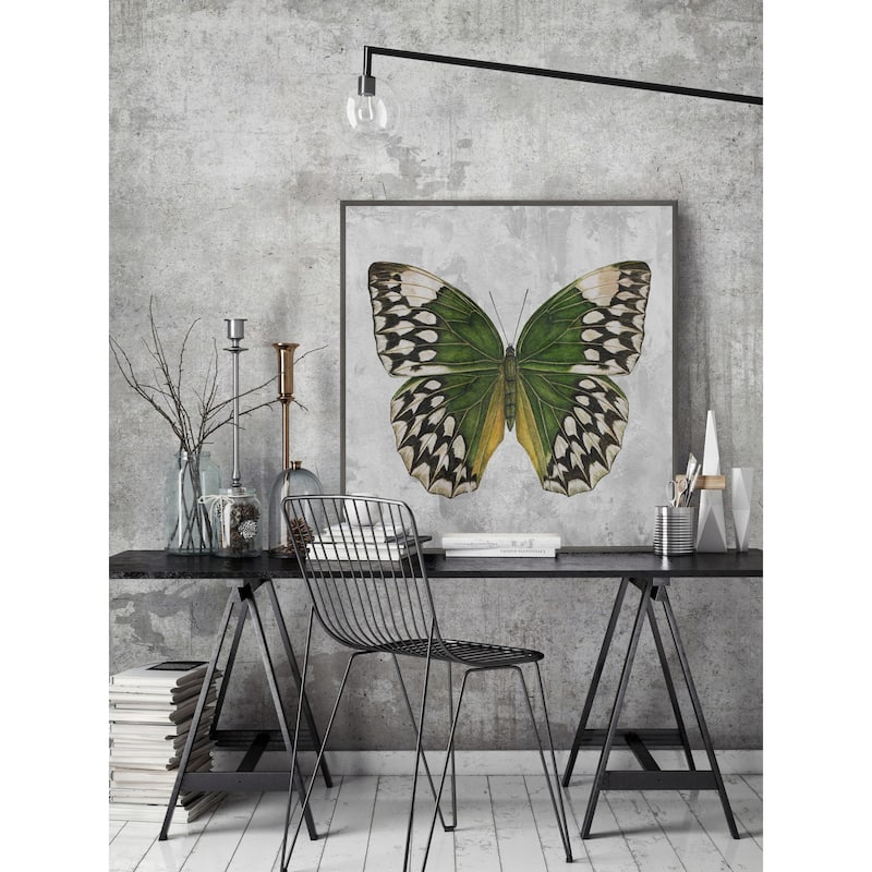 Nature's Angel Floater Framed Print on Canvas