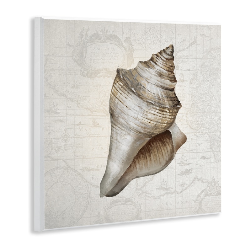 Stupell Conch Shell over Vintage Map Wall Plaque Art Design By Conrad Knutsen