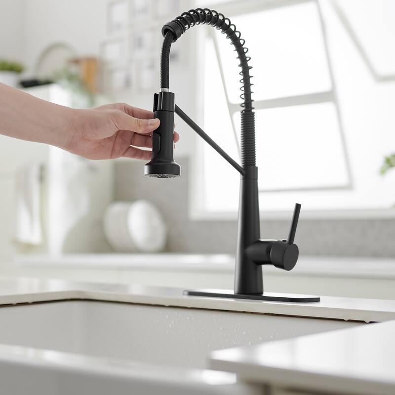 WIZ Single-Handle Pull-Down Sprayer 2 Spray High Arc Kitchen Faucet