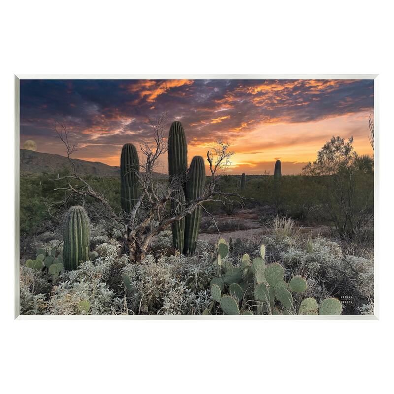 Stupell Arid Desert Cactus Sunset Wall Plaque, Design By Nathan Larson - 19 x 13