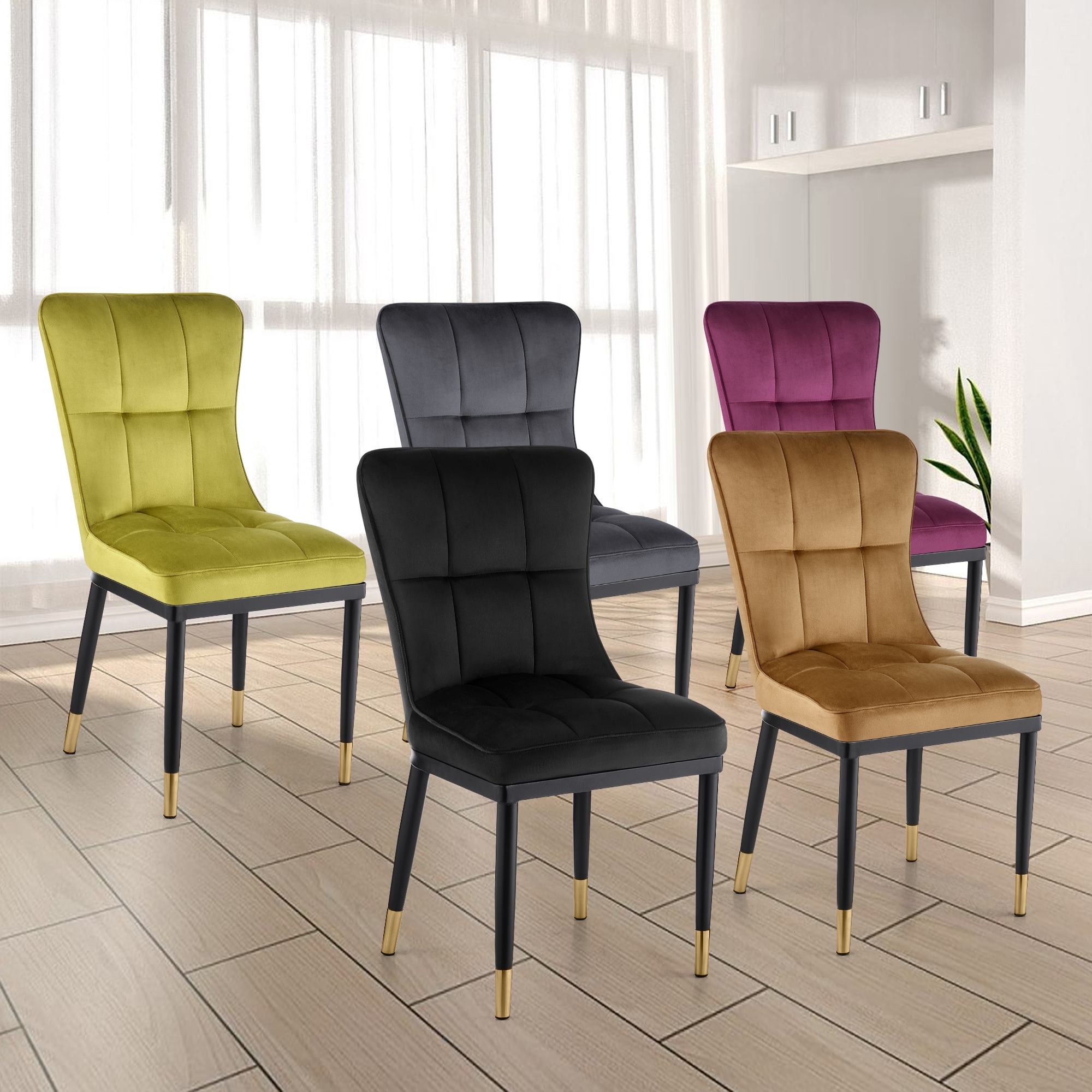Checked dining on sale chairs