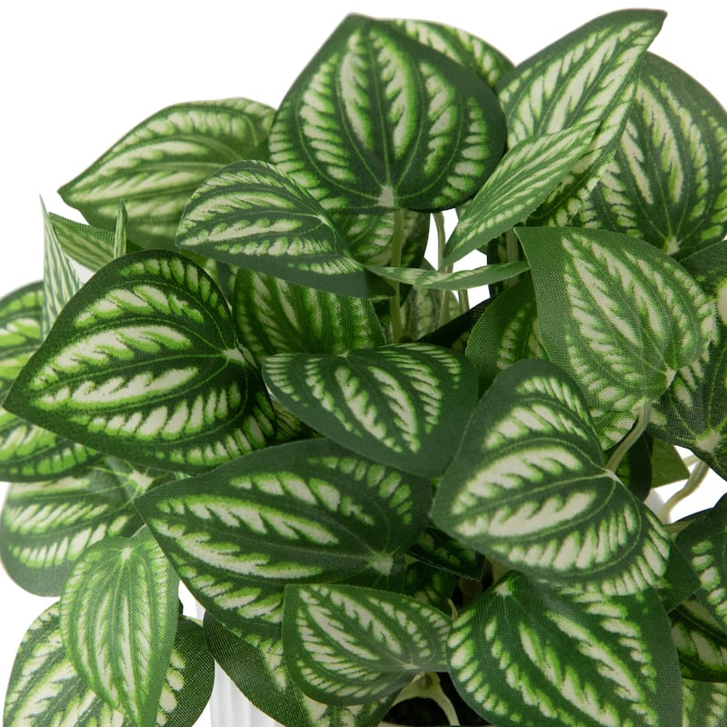 Artificial Watermelon Peperomia Plant in Pot - 6.5"