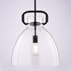 preview thumbnail 2 of 6, Vaxcel Lighting P0431 Madrona 14" Wide Pendant with Clear Glass Shade