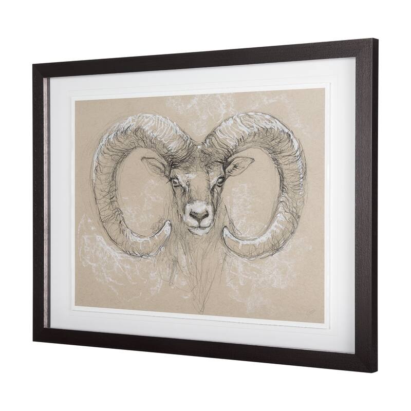 Sketch of Animal I (Wild Sheep) Framed Art Print