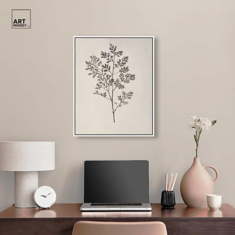 Aniseed Anatomy II Canvas Delicate Floral by Art Remedy