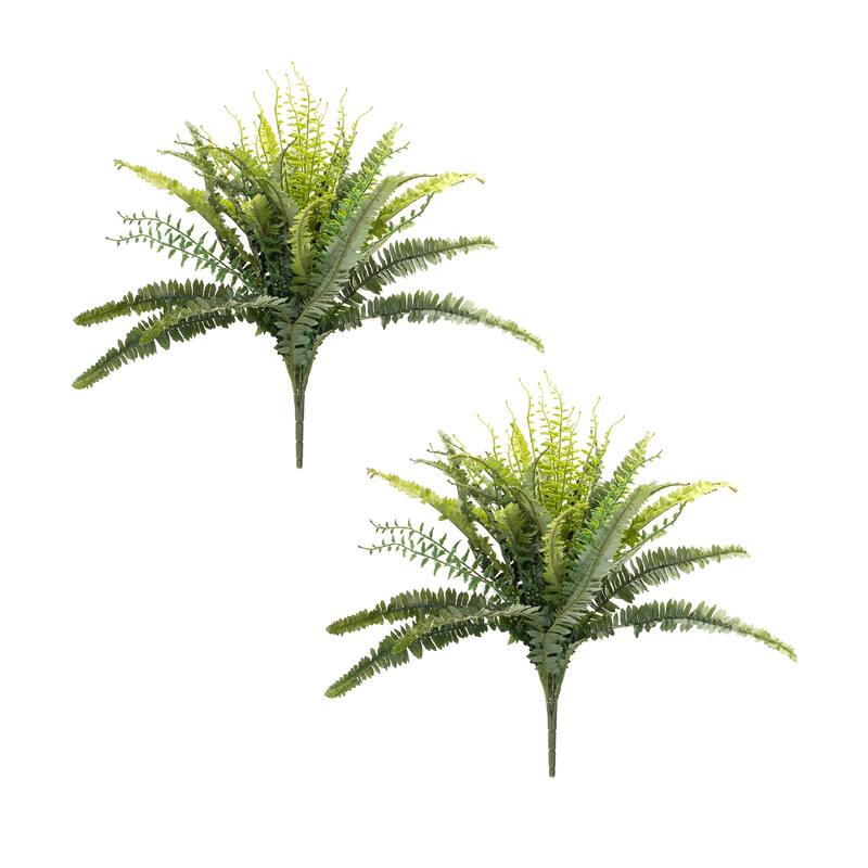 Mixed Fern Bush (Set of 2) - Green