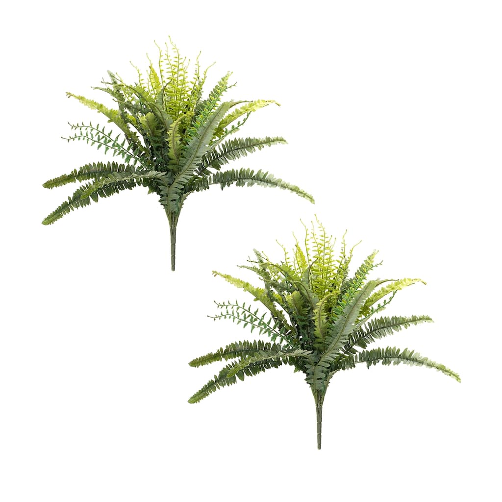 Mixed Fern Bush (Set of 2)
