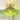 12" Mid-Century Floral Brass Semi-Flush Mount Light with Hand-Blown Amber/Green/Grey/Clear Glass Shade for Kitchen, Hallway