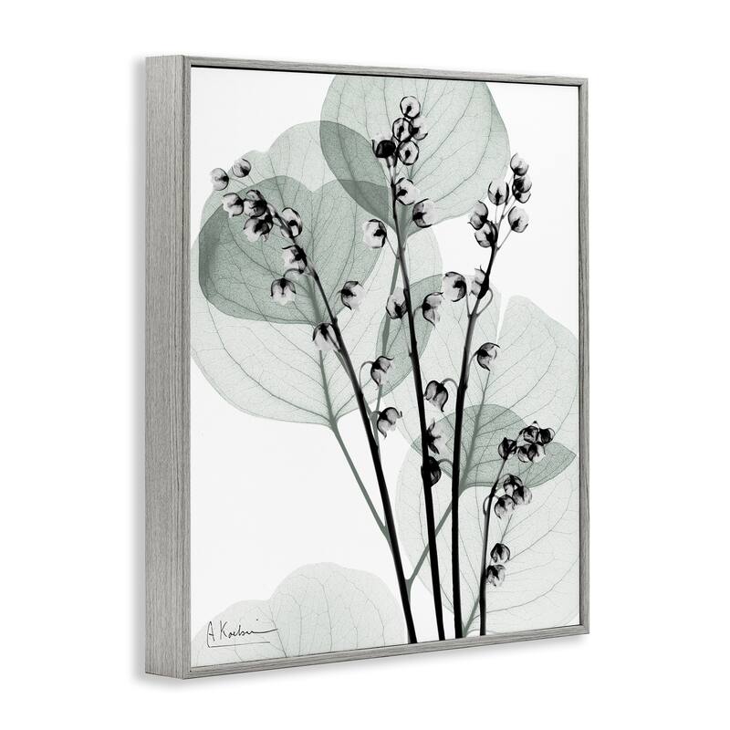 Stupell Fresh Minimalist Herbs Framed Giclee Art Design By Albert Koetsier