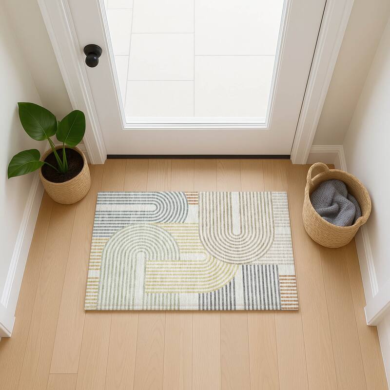 Machine Washable Indoor/ Outdoor Modern Basehor Chantille Rug