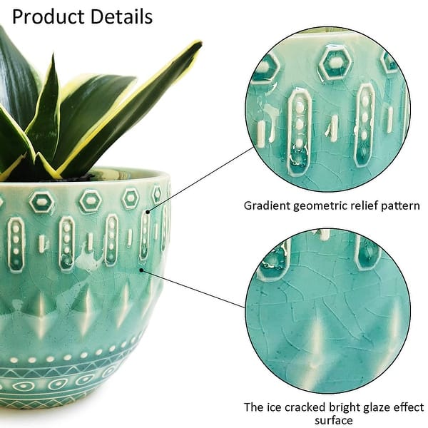 green lily plant Spathiphyllum 'Peace Lily' main image 0