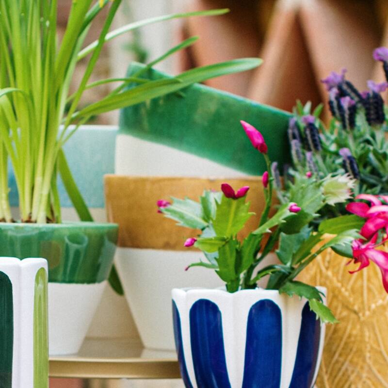 Viva Garden Green Reactive Medium Cachepot