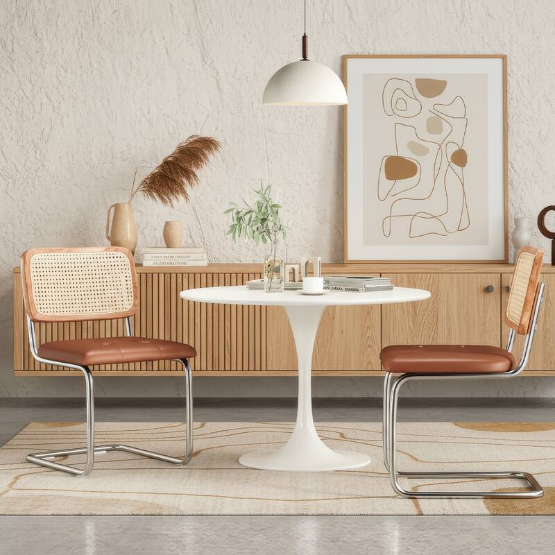 Dining Chairs Set of 2,Mid-Century Modern Chair Armless Mesh Backrest Cane Rattan Chairs for Home Dining Room
