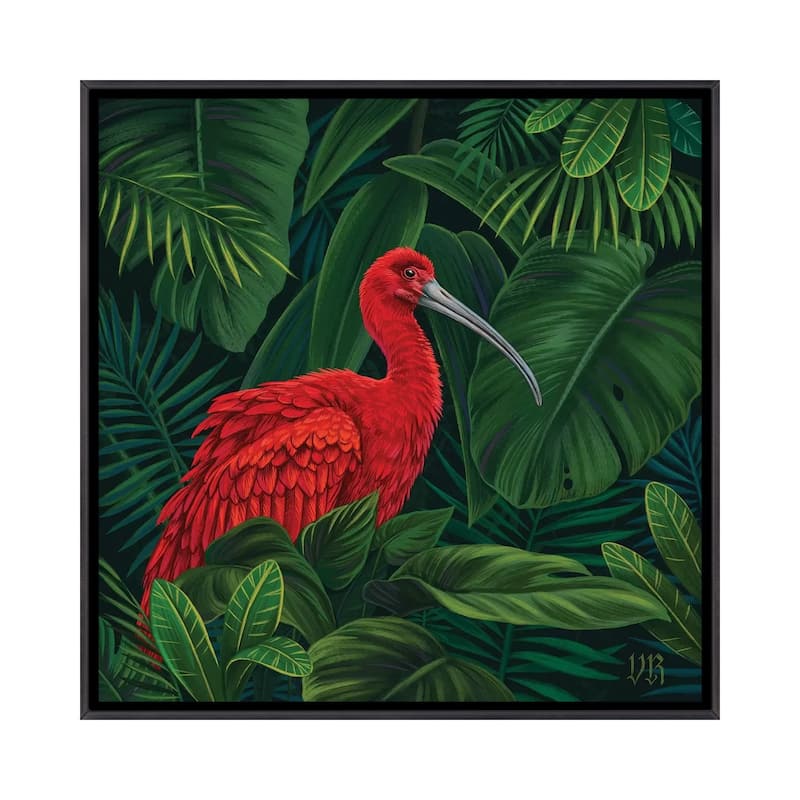 iCanvas "Scarlet Ibis" by Vasilisa Romanenko Framed - Ebony - 12x12