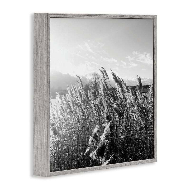 Stupell Tall Grass Lake Water Landscape Black White Photography Framed Wall Art