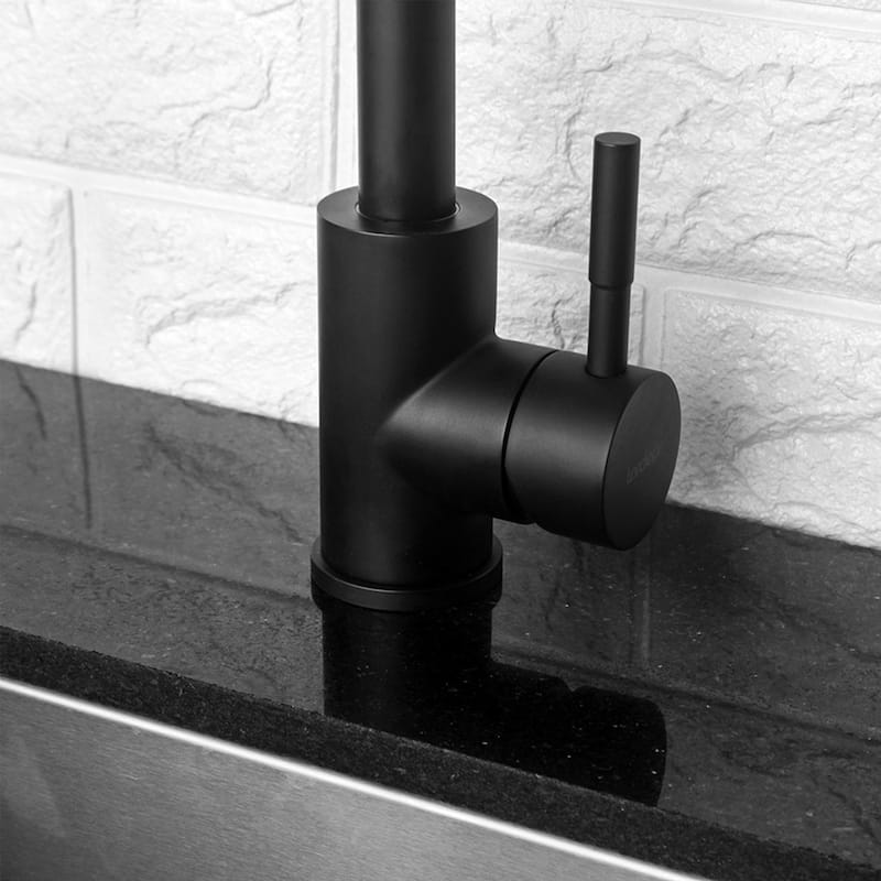 Single-Handle Kitchen Faucet in Matte Black