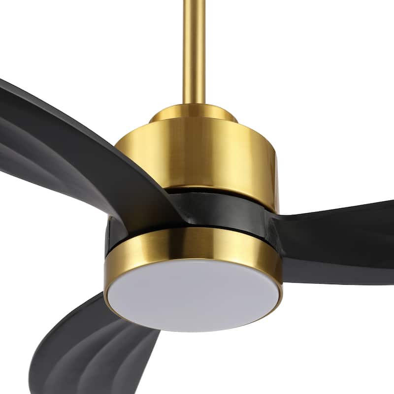 WINGBO 64-inch 3-Blades Indoor Celiing Fan with LED Light, White