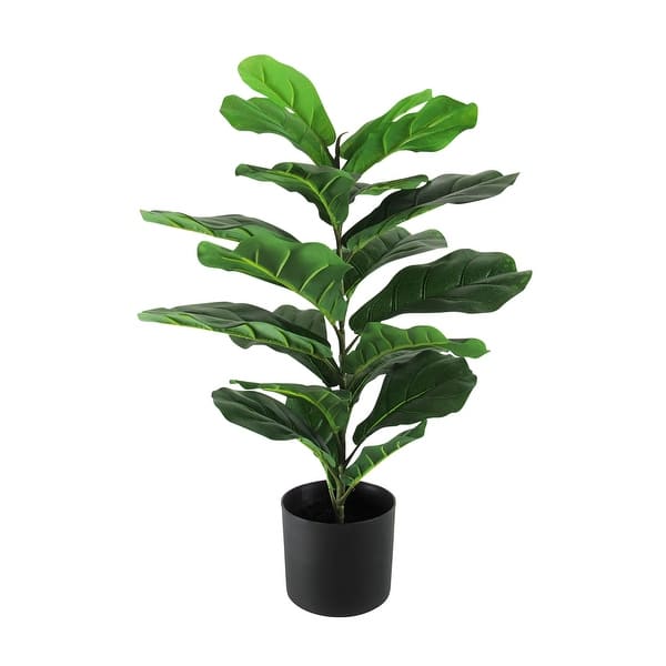 slide 2 of 5, 27in Real Touch Artificial Small Fiddle Leaf Fig Tree Plant in Black Pot - 27" H x 19" W x 19" DP