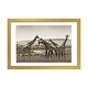 preview thumbnail 9 of 18, iCanvas "Gathering Giraffes" by Klaus Tiedge Gold - 16x24x1