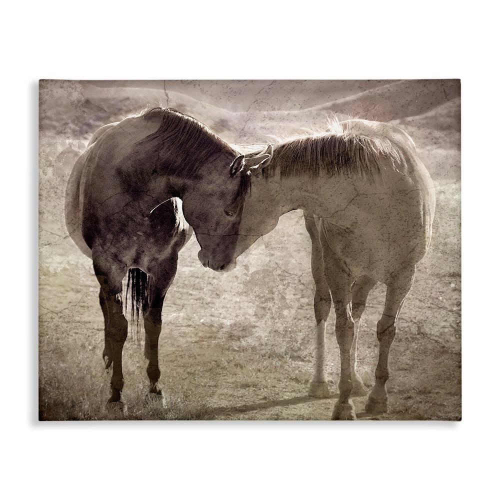 Stupell Muted Horse Pair Hugging Canvas Wall Art Design By Steve Toole