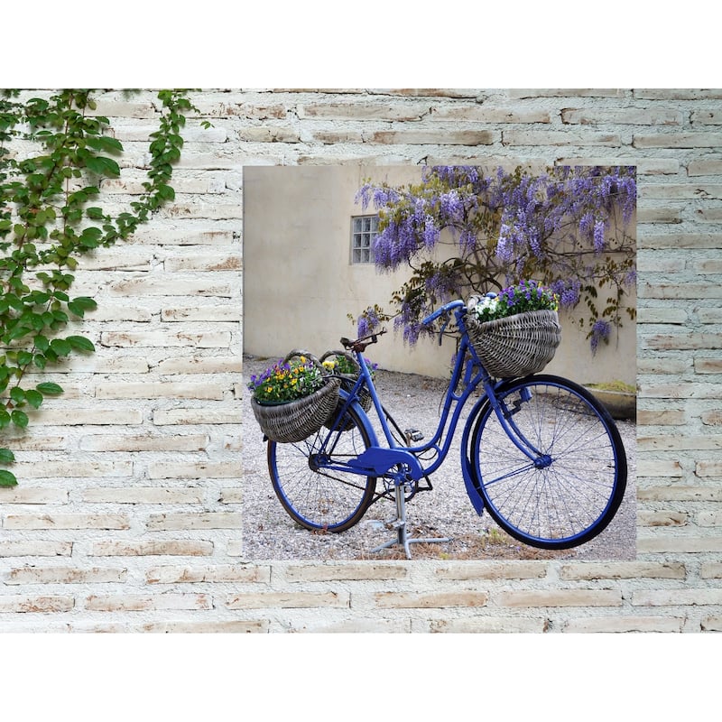 Blue Bike Indoor/Outdoor Art - Multi-color