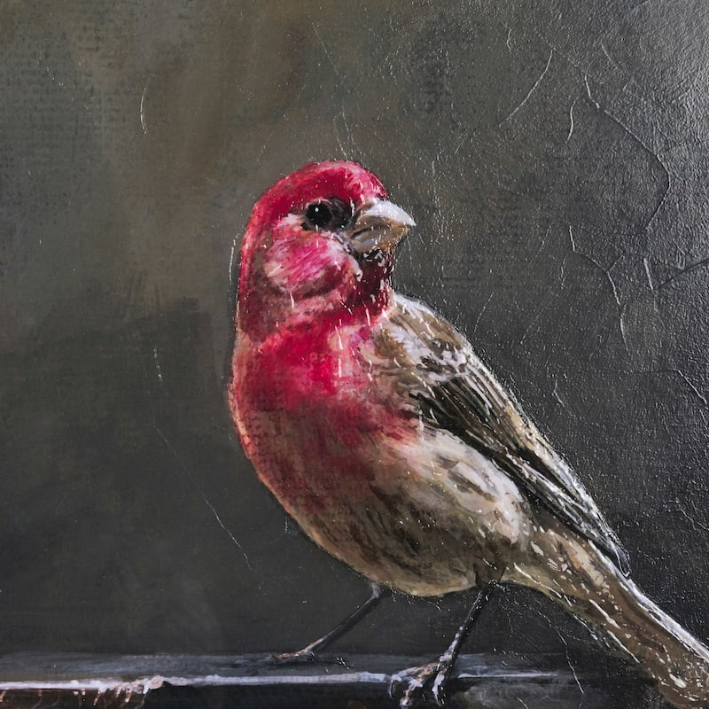 Graceful Poise I (House Finch) Framed Art Print