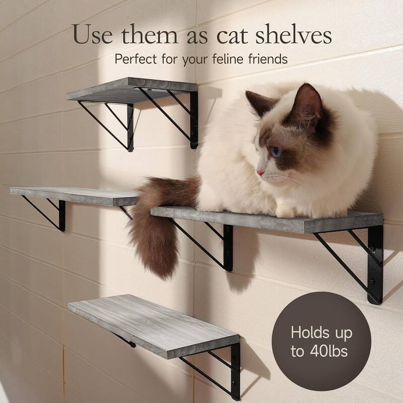 Wall Shelves for Bedroom Decor, Floating Shelves - 5.5"D x 16.5"W x 2.4"H