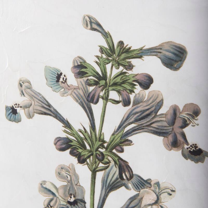 Soft Blue Botanicals III Framed Art Print