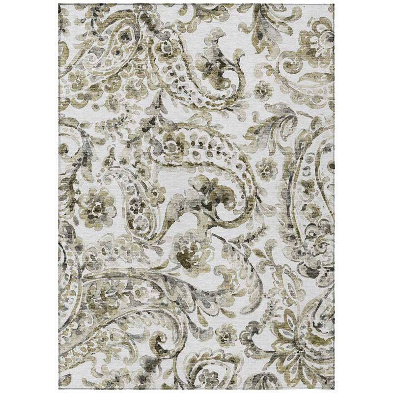 HomeRoots Paisley Transitional Rectangle Outdoor Rug