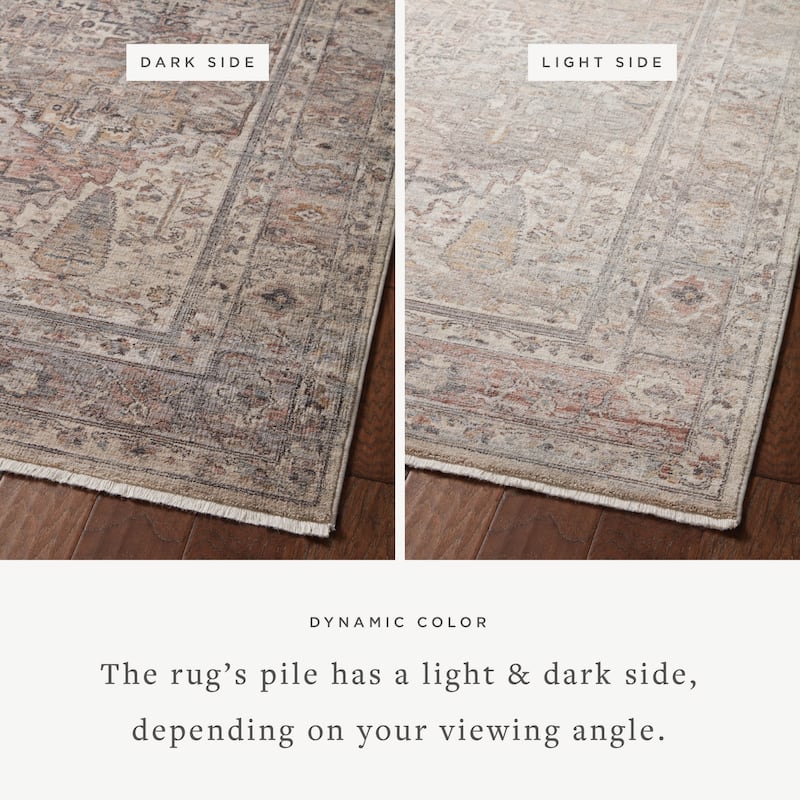 Alexander Home Lynda Vintage Persian Area Rug