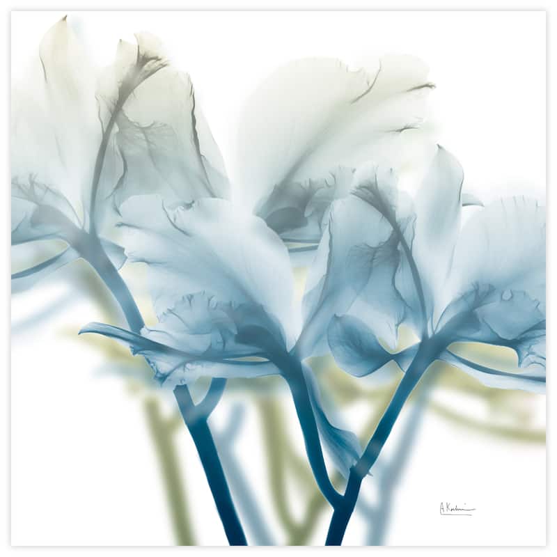 "Unfocused Beauty 3" Frameless Free Floating Tempered Glass Panel Graphic Wall Art