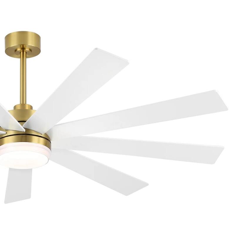 MLiAN DC Motor Indoor Ceiling Fan with Light and Remote