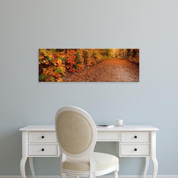 Easy Art Prints Panoramic Image 'Road passing in autumn forest, Traverse City, Grand Traverse, Michigan' Canvas Art