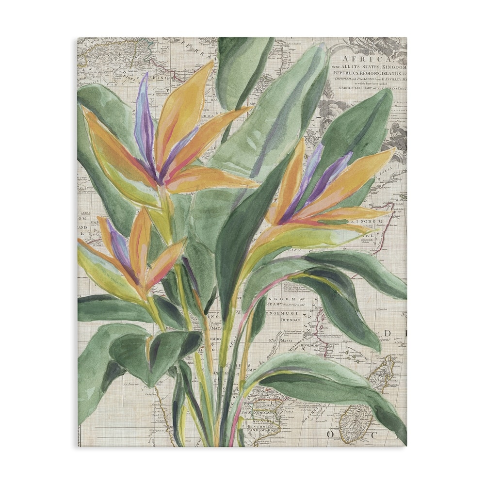 Stupell Bird of Paradise over Map Canvas Wall Art Design By June Erica Vess