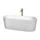 Option White / Shiny White Trim / Brushed Gold Faucet