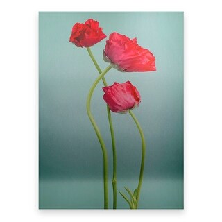 PhotoINC Studio 'Blue poppy Red' Floating Brushed Aluminum Art - Bed ...