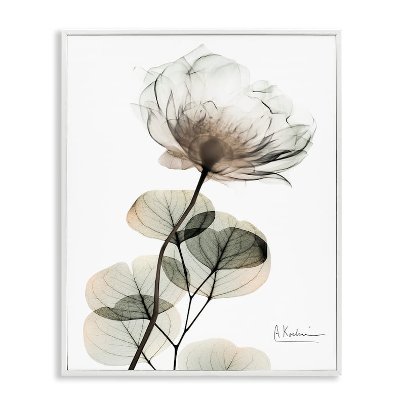 Stupell Simple Elegant White Flower Framed Giclee Art Design By Albert Koetsier - 16 x 20 - White