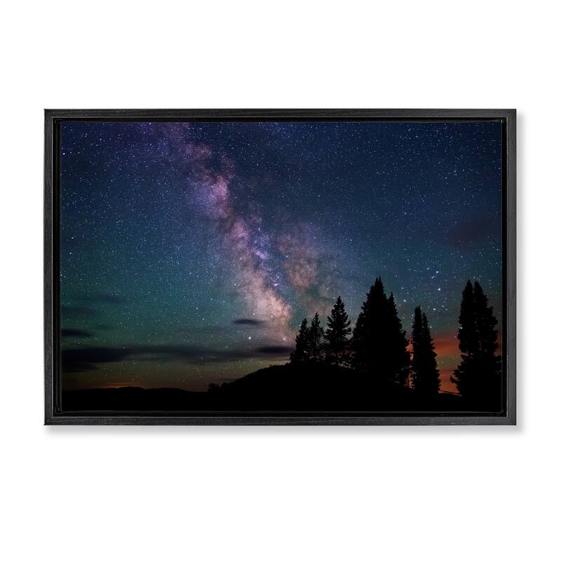 Stupell Silhouetted Forest & Night Sky Framed Floater Canvas Wall Art Design By Royce Bair - 25 x 17 - Black