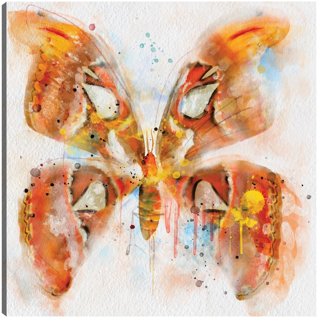 Flights of Fancy I By Studio Arts Canvas Art Print