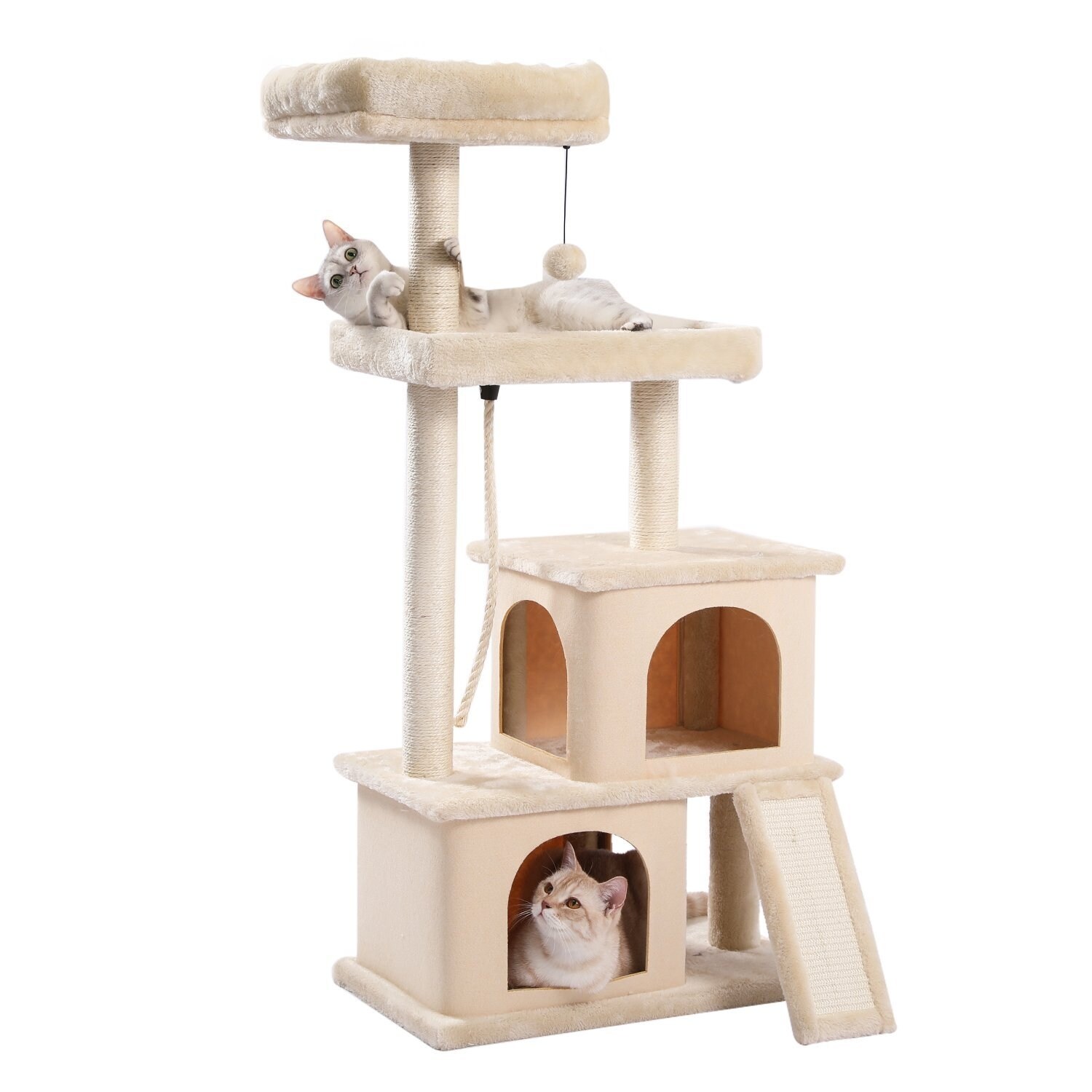 large cat scratching tree