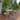 Nuu Garden Outdoor 3-Piece Bistro Set with 2.17" Umbrella Hole and Cushions