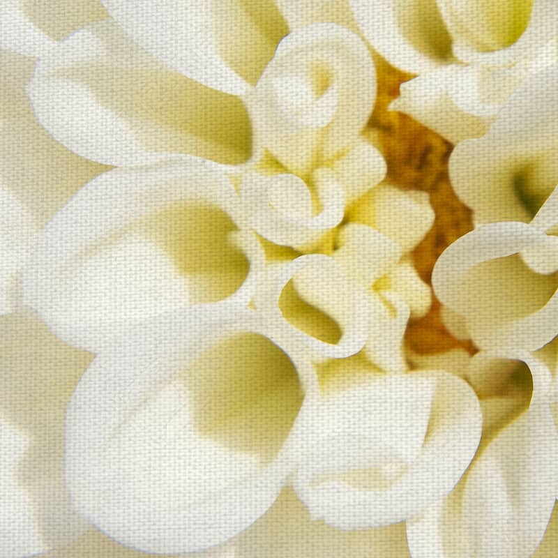 White Dahlia by Grand Image Canvas Art Print