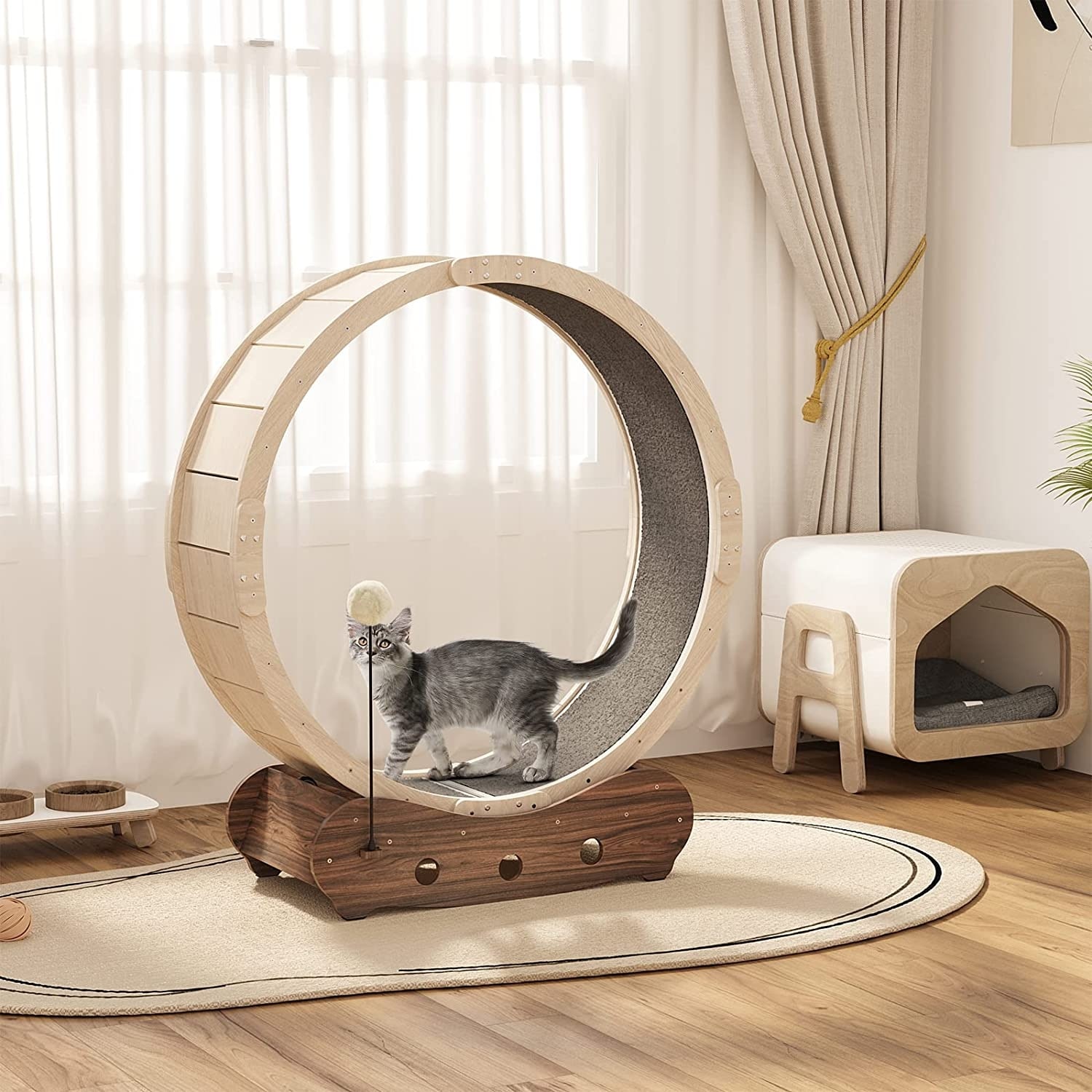 Feline's Diy Cat Wheel Cat Wheel 37in Cat Exercise Wheel With
