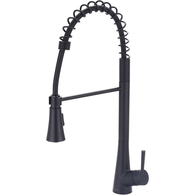 Olympia Faucets i2 1.8 GPM Single Hole Kitchen Faucet with Pull-Down - Matte Black