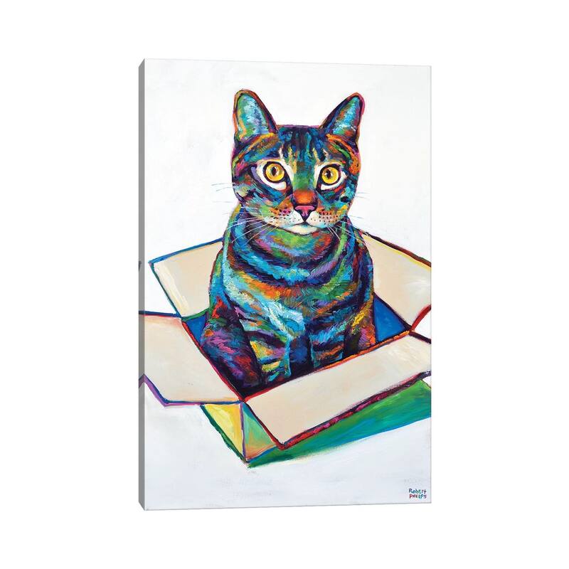 iCanvas "Cat In Box" by Robert Phelps Canvas Print