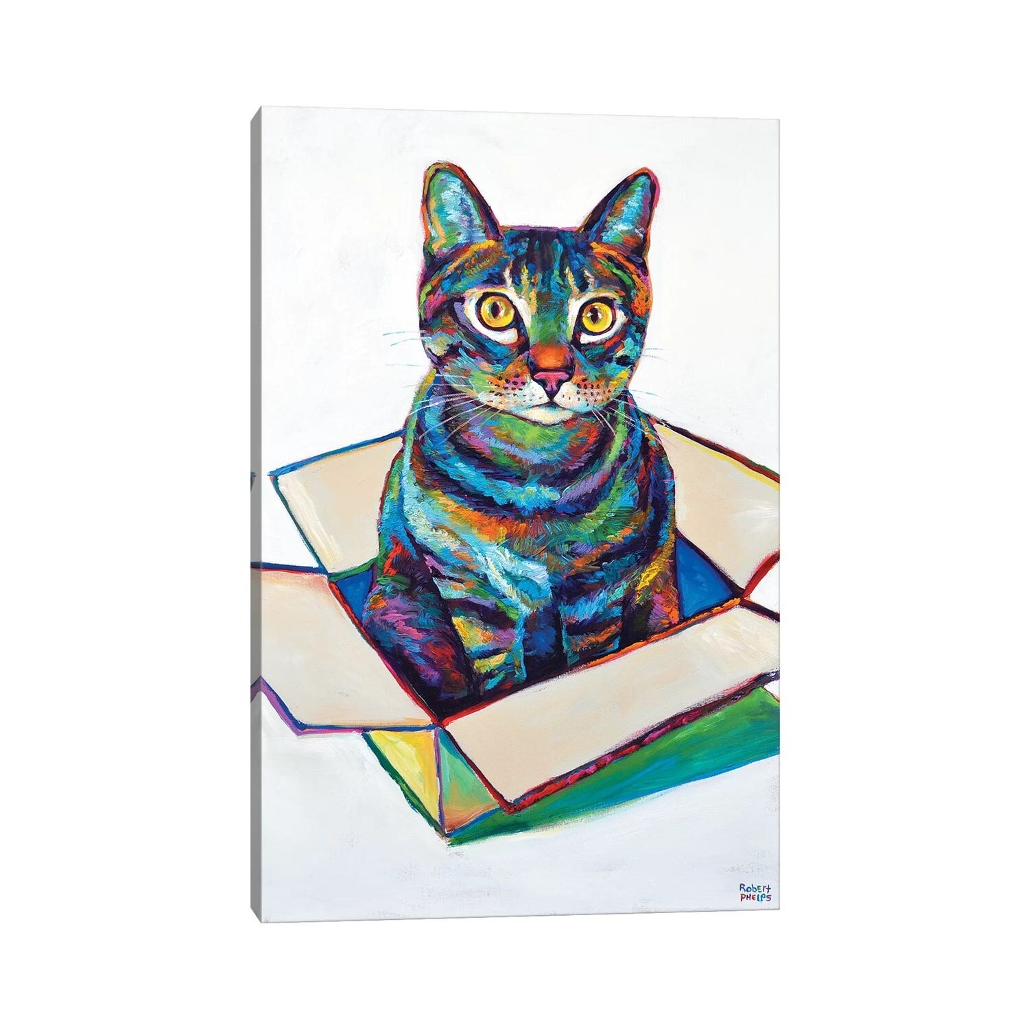 iCanvas "Cat In Box" by Robert Phelps Canvas Print