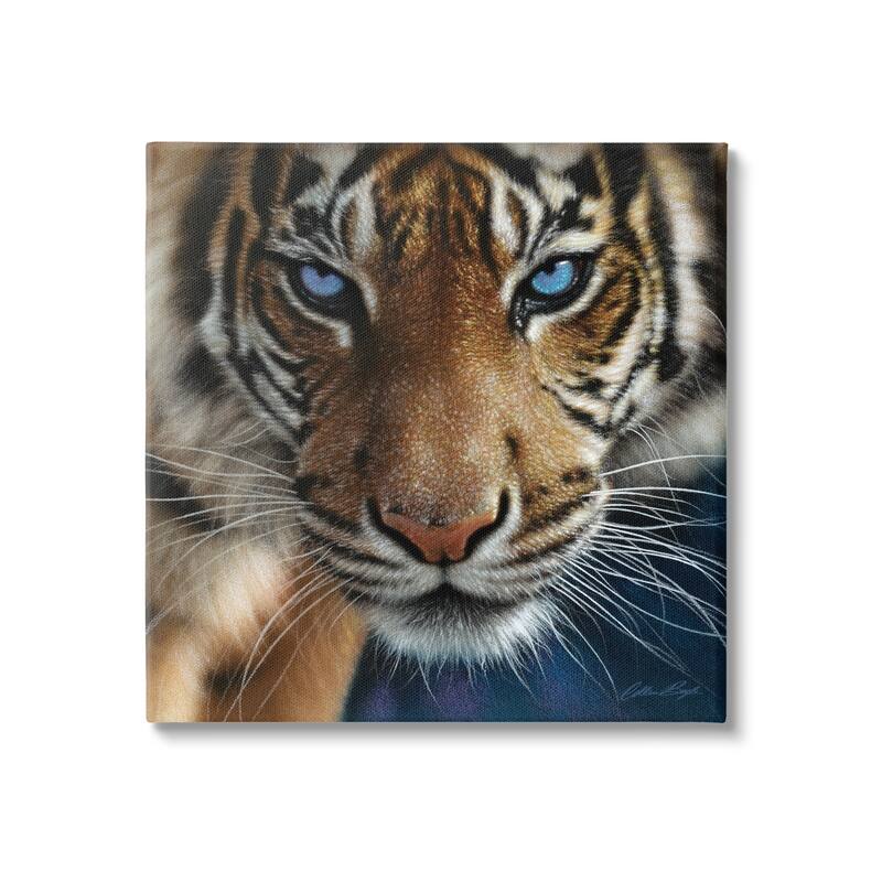 Stupell Blue Eyed Beautiful Fierce Tiger Close Up Detailed Portrait Canvas Wall Art - 30 x 30